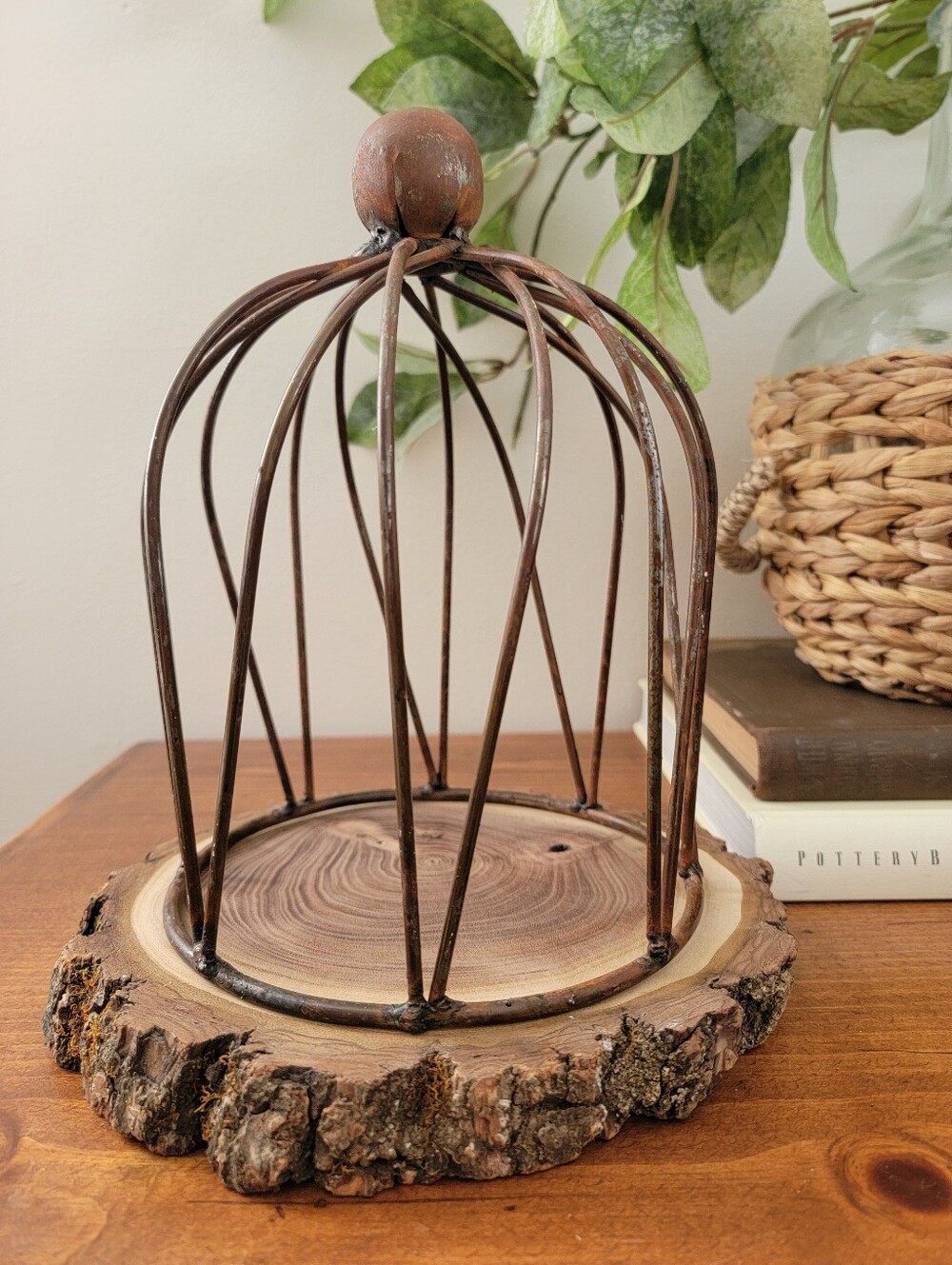 2 Piece Rustic Metal Cloche With Live Edge Natural Wood Base Cottage Decor